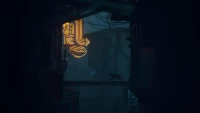 16. Stray PL (XO/XSX)